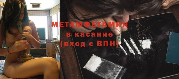 индика Инсар