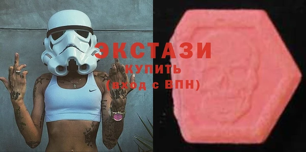 индика Инсар