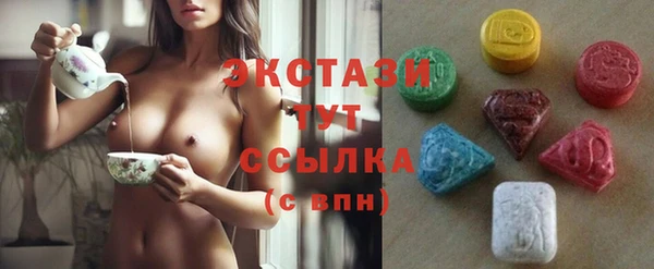 индика Инсар