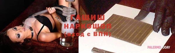 индика Инсар
