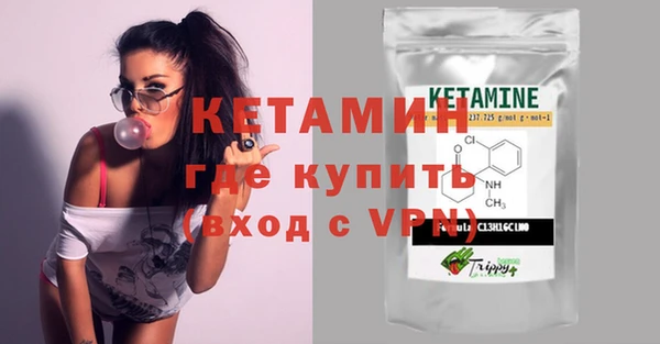 индика Инсар