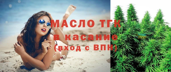индика Инсар