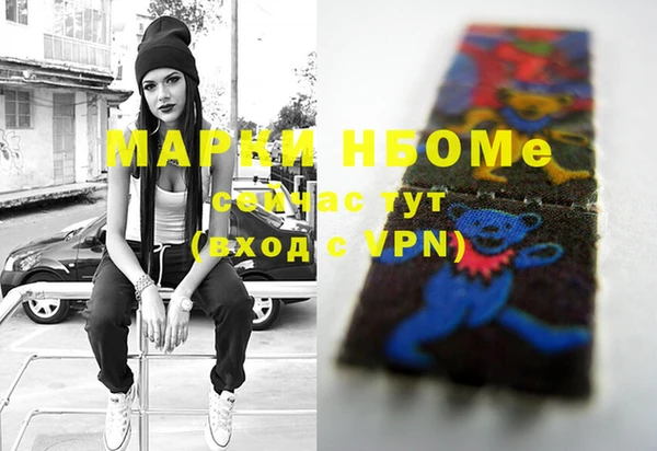 индика Инсар