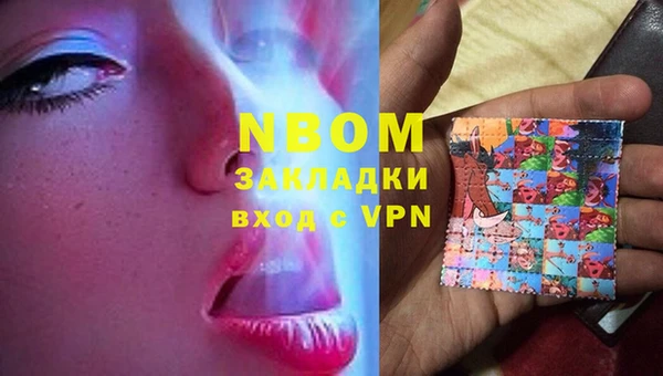 индика Инсар