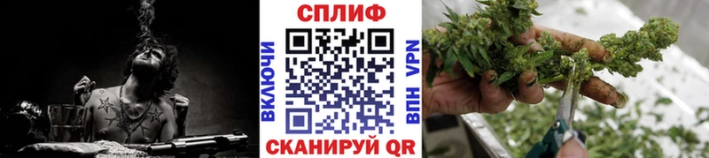 Купить где  Кимры  Бошки Шишки ГИДРОПОН 